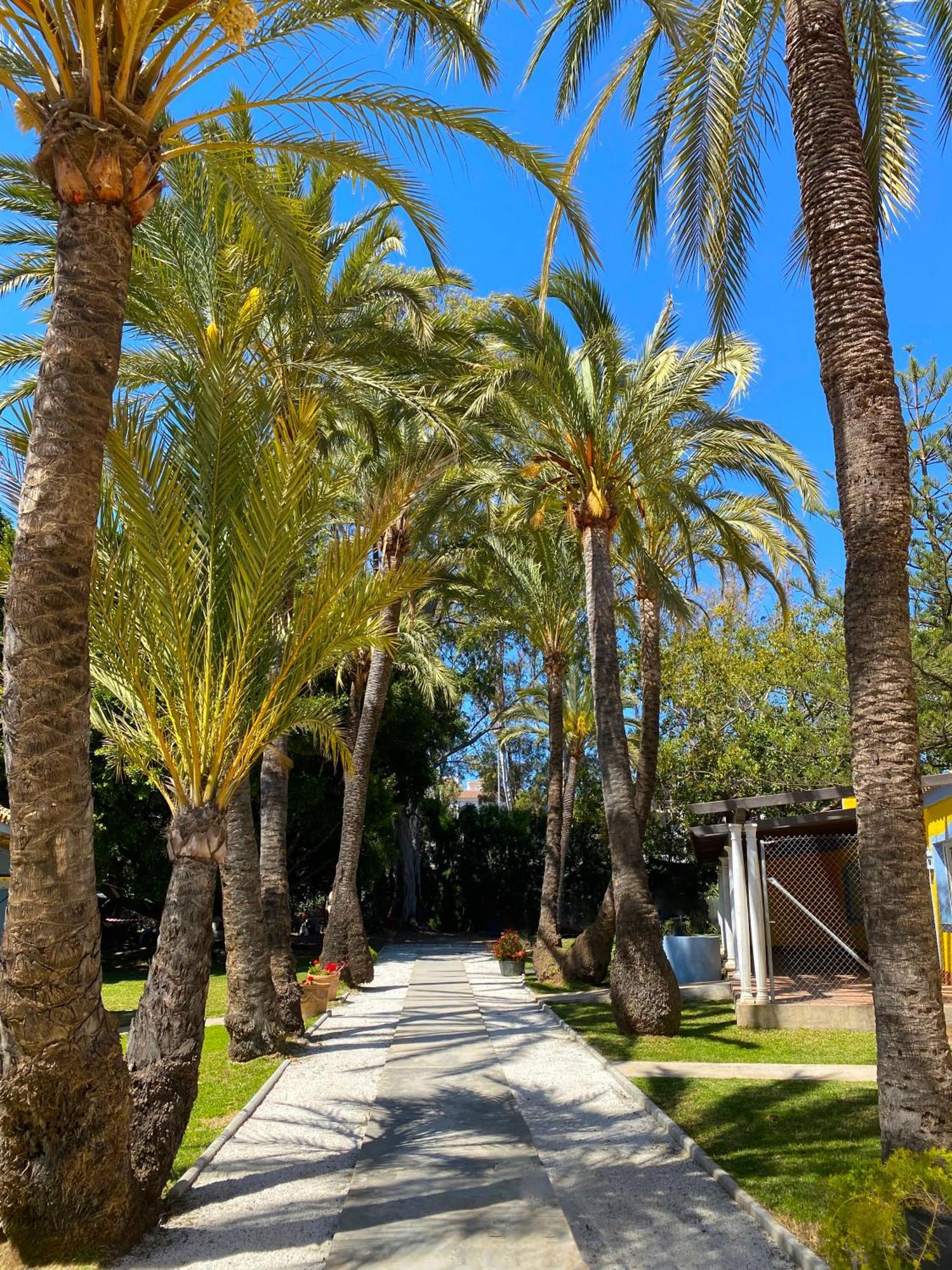 Appartamento Cortijo La Saleta Banus Marbella Esterno foto